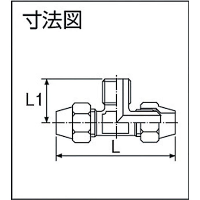 【CAINZ-DASH】アソー 二方フレアーチーズ　ＰＴ１／４ＸΦ１０ FT-2210【別送品】