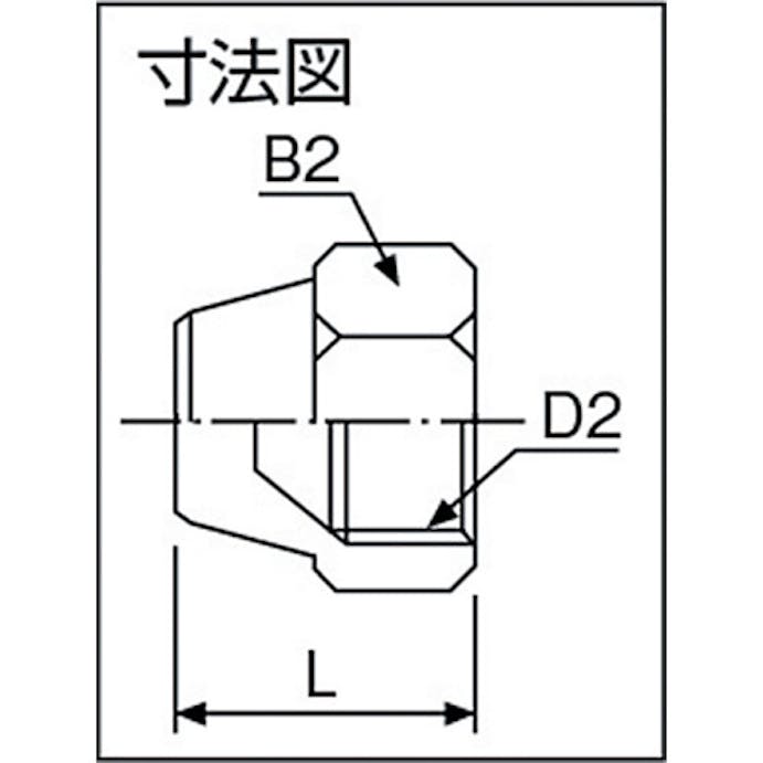 【CAINZ-DASH】アソー フレアーキャップ　１／２Ｘ２０山 FN-0008【別送品】