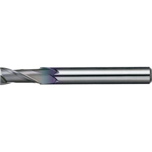 CAINZ-DASH】日進工具 無限プレミアムリード３０ エンドミル ２枚刃 