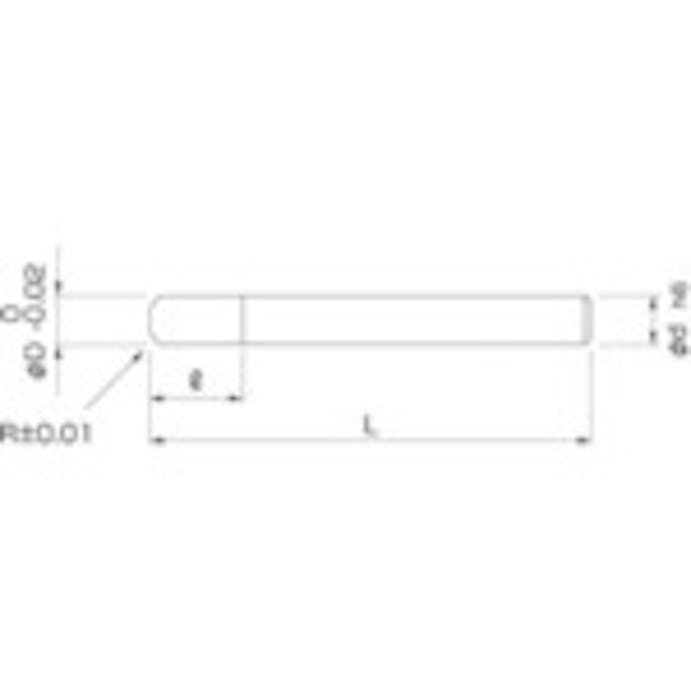 【CAINZ-DASH】日進工具 無限コーティング　ラジアスエンドミル　ＭＳＲＳ４３０　Φ６ＸＲ０．２ MSRS430 6XR0.2【別送品】