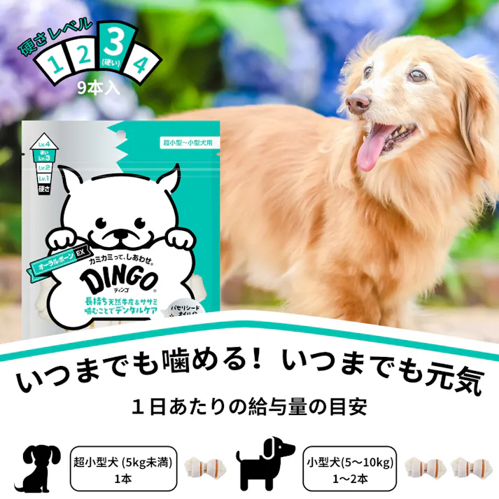 ディンゴ オーラルボーンEX ミニ 9本入