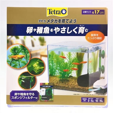 メダカの稚魚を育てよう PL－17KB