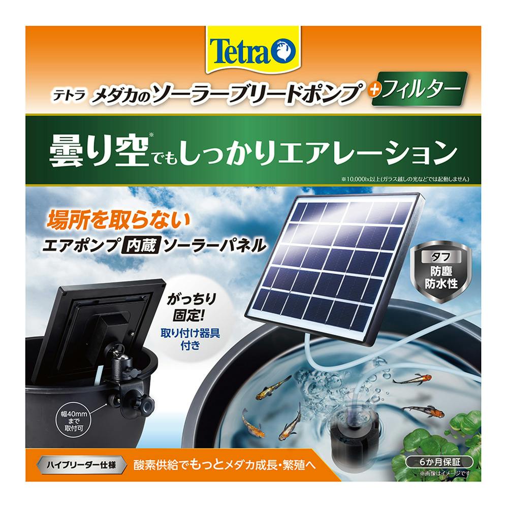 メダカのソーラーブリードポンプ＋フィルター