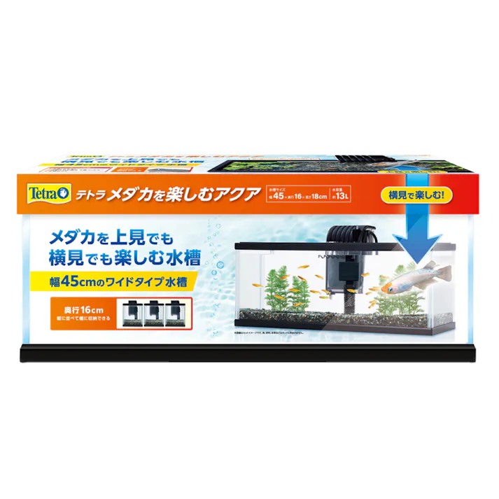 テトラ メダカを楽しむアクア