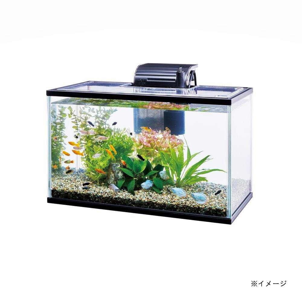 テトラ ひろびろワイドアクア 50C | 水中生物用品・水槽用品
