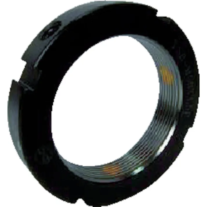 【CAINZ-DASH】エバオン ロックナット EPT 直角度0.005 M85×2 EPT85N-5-M85X2【別送品】