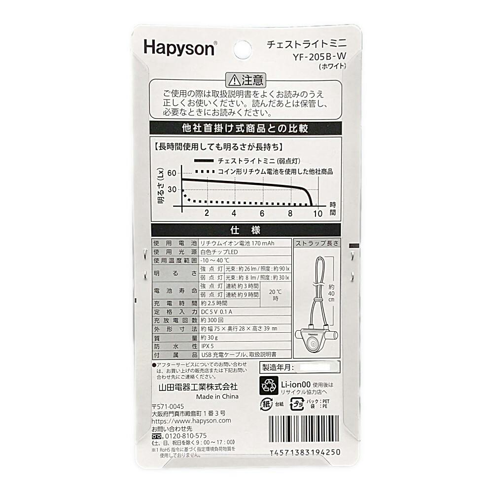 新品未使用　イーモンスターライト　箱　説明書　付属品　あり 新品未使用 イーモンスターライト 箱 説明書 付属品 あり Nintendo Lite