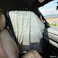 SOLEMI 車の目隠しシート 小型車用 M 長さ80cm×12.5m