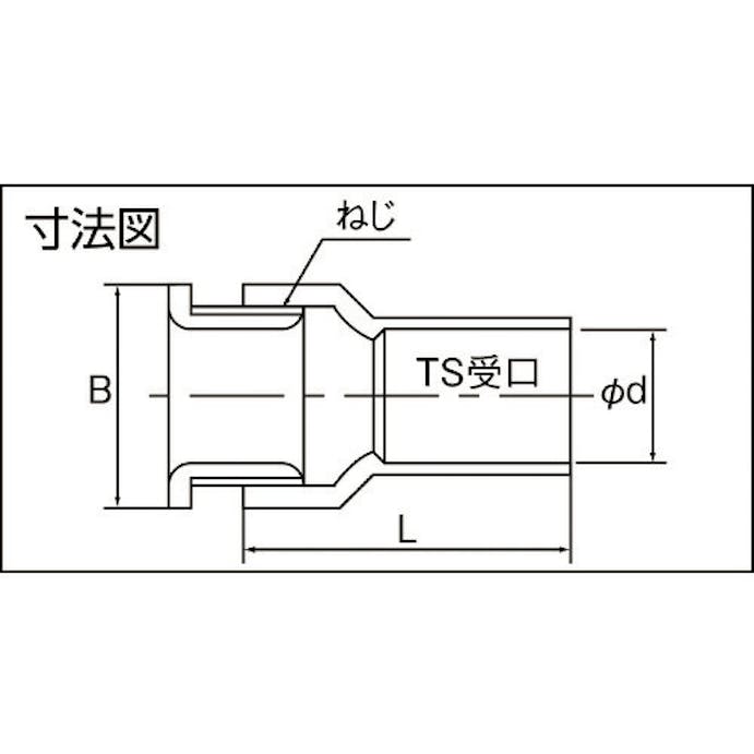 【CAINZ-DASH】日動電工 ２号コネクタ２２（アイボリー） 2K22JHW【別送品】