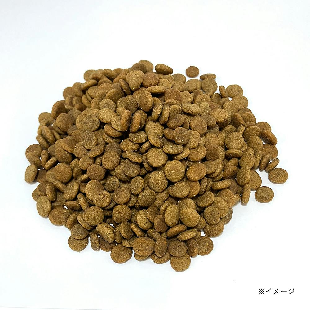 おなかにやさしいドッグフード 尿路ケア 1Kg | ドッグフード 通販