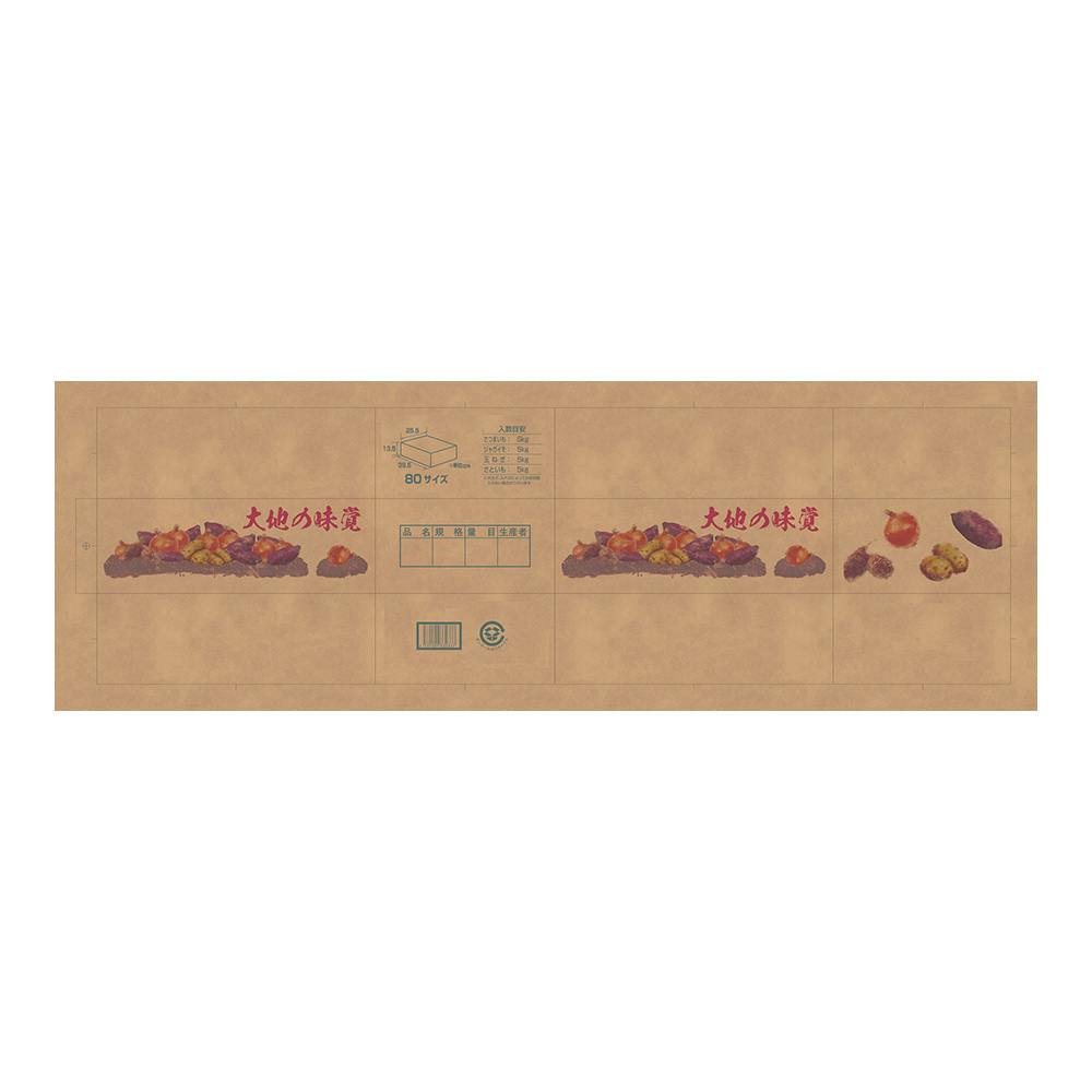 根菜ダンボール 大地の味覚 5kg 80サイズ