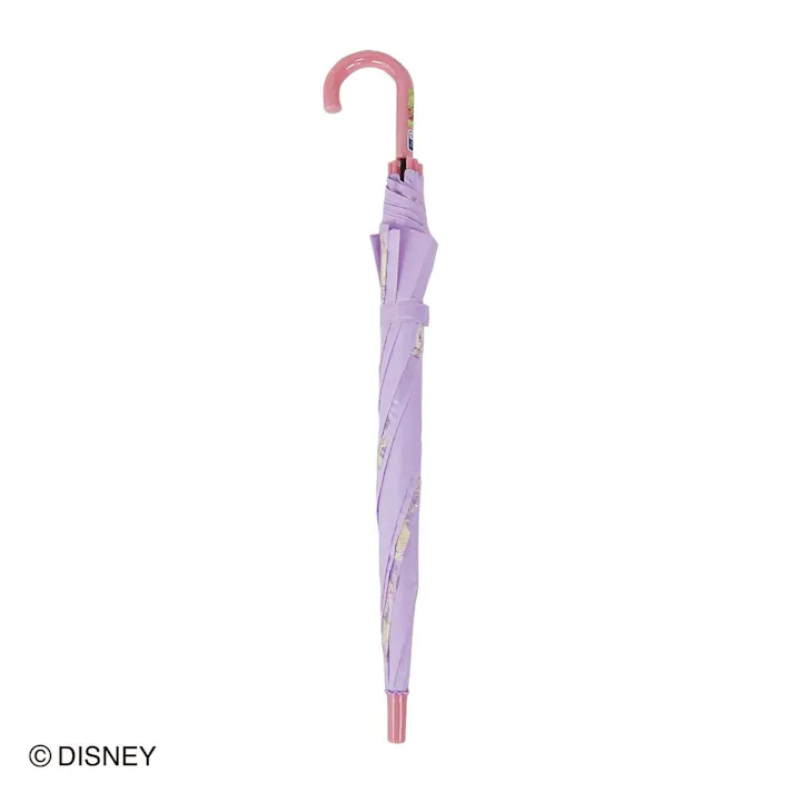 ディズニーラプンツェル窓付き長傘 55cm -6(販売終了)