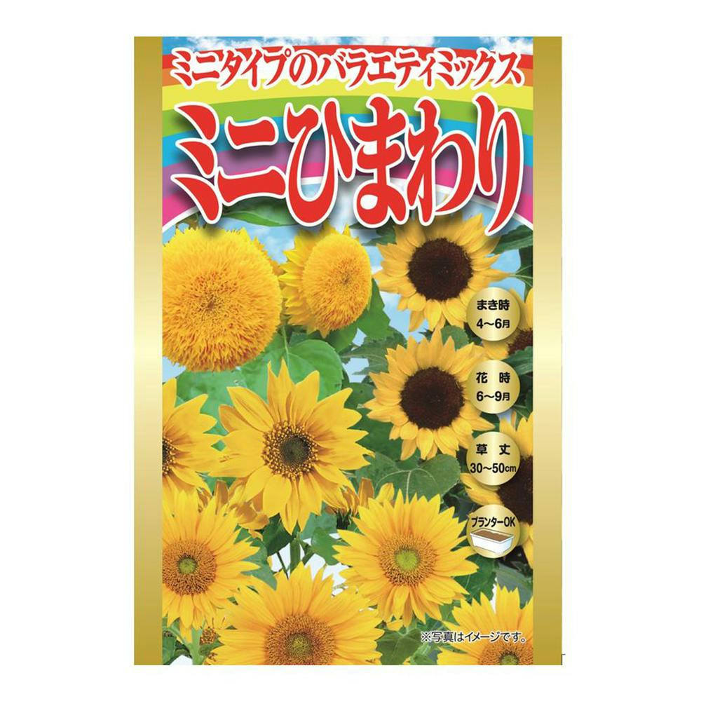 アタリヤ農園 ミニひまわりバラエティミックス | 花＆グリーン