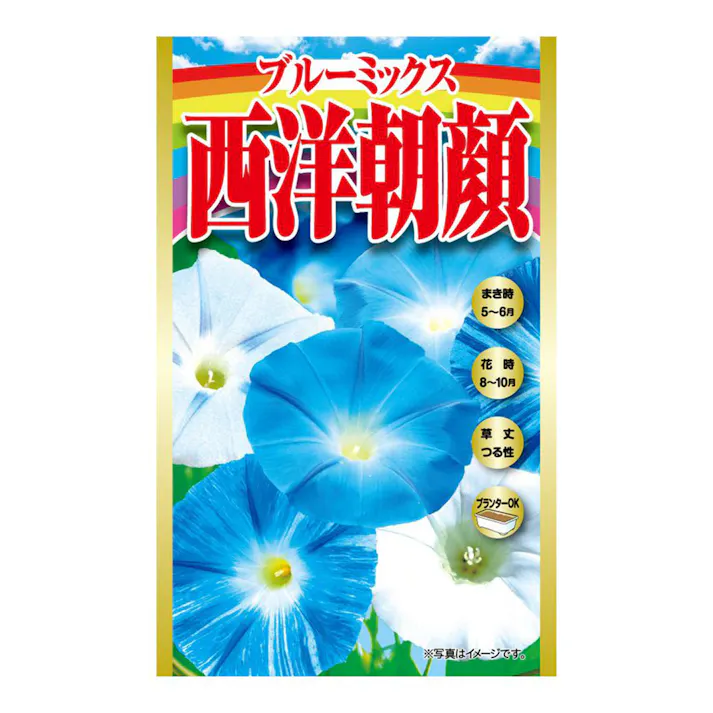 西洋朝顔ブルーミックス