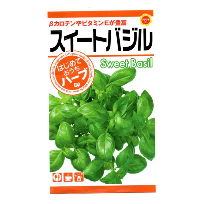 おうちでハーブスイートバジル