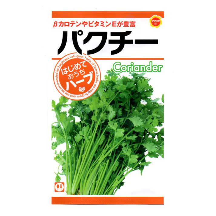 おうちでハーブパクチー