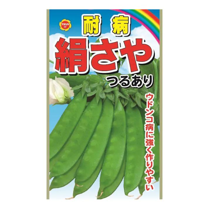 耐病 絹さや つるあり