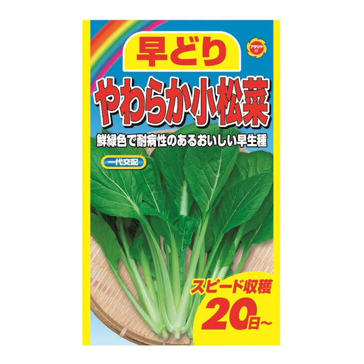早どりやわらか小松菜
