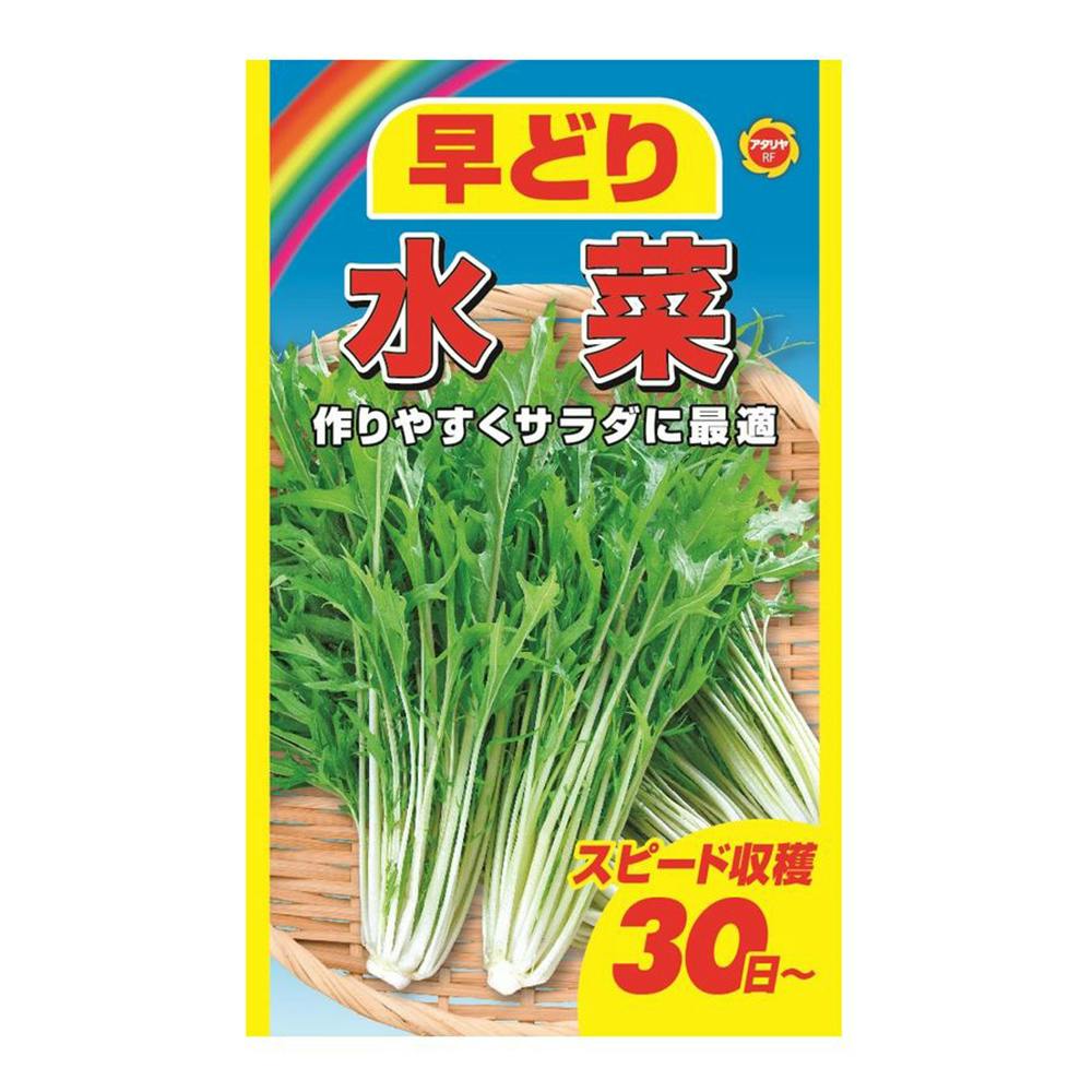 早どり水菜 | 花＆グリーン 通販 | ホームセンターのカインズ
