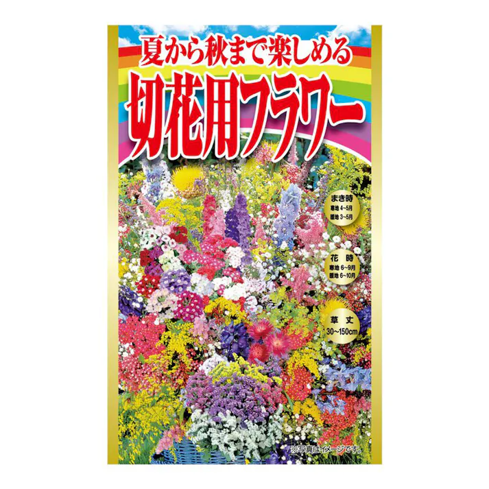 夏から秋まで楽しめる切花用フラワー
