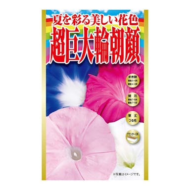 アタリヤ農園 夏を彩る美しい花色超巨大輪朝顔