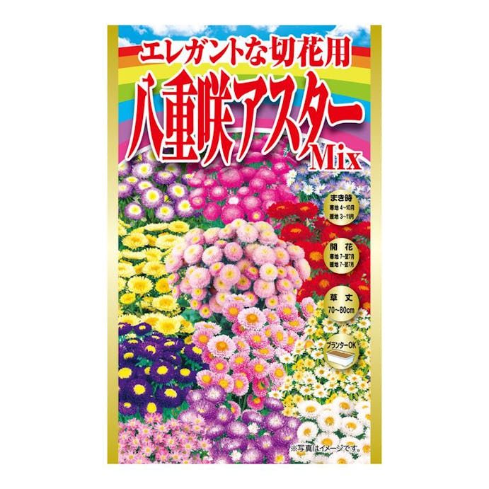 アタリヤ農園 エレガントな切花用八重咲アスターミックス