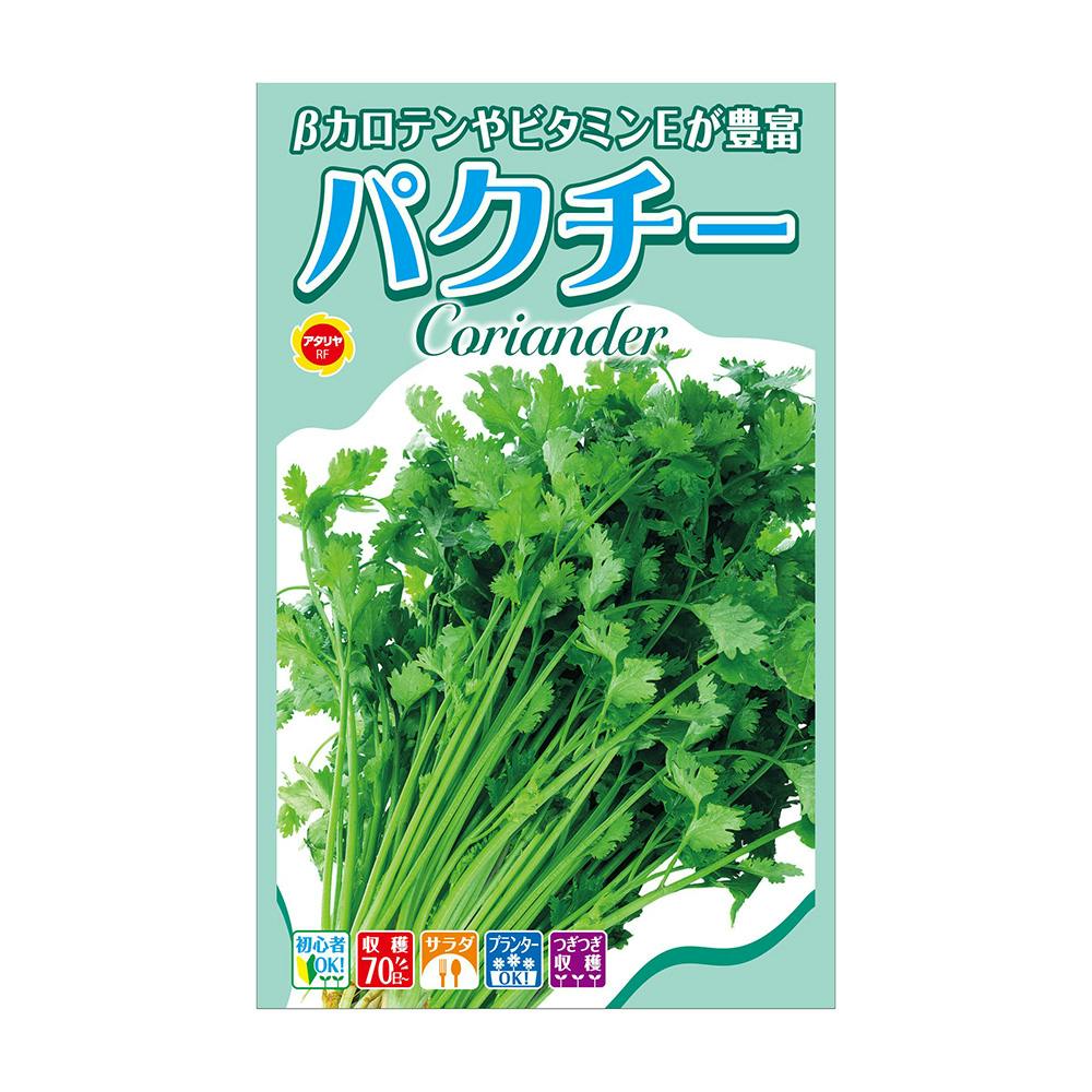 ハーブ パクチー