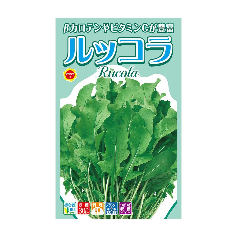 ハーブ ルッコラ