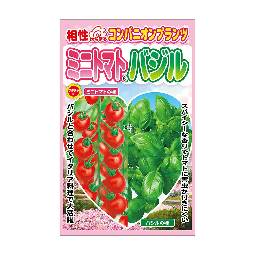 コンパニオンプランツ トマト＆バジル