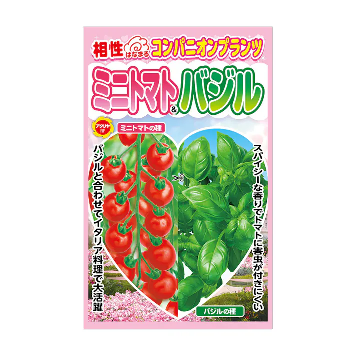 コンパニオンプランツ トマト&バジル