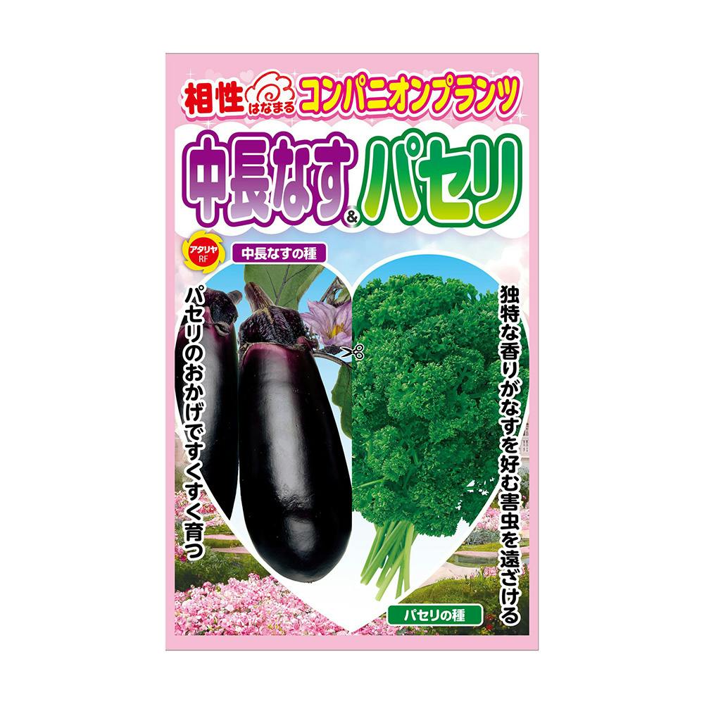 コンパニオンプランツ 中長 ナス＆パセリ