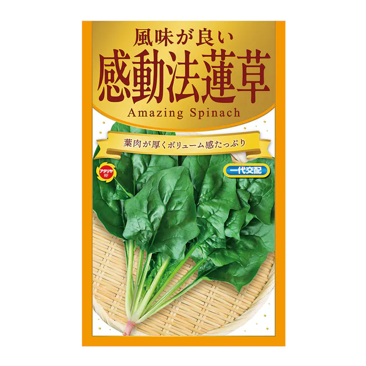 感動法蓮草