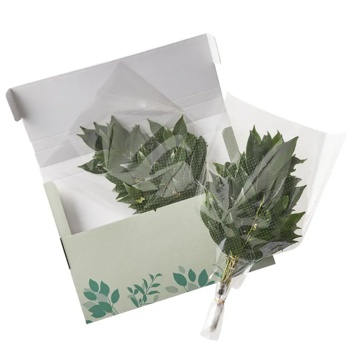 姫榊【別送品】