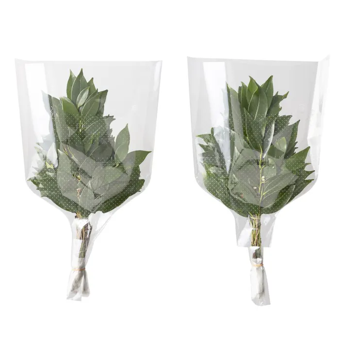 姫榊【別送品】