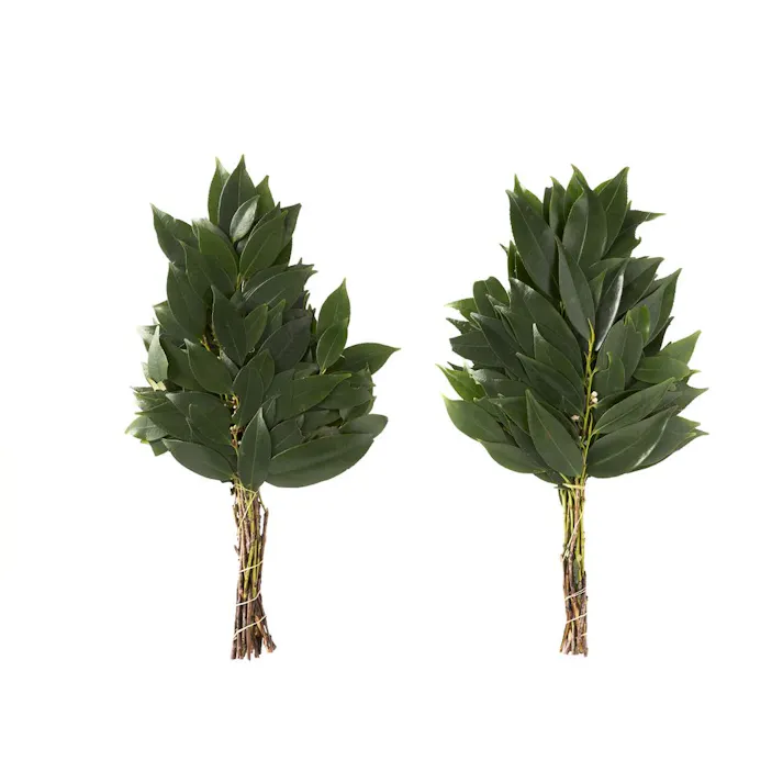 姫榊【別送品】