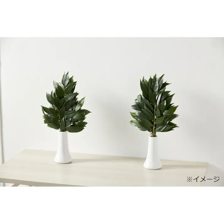 姫榊【別送品】