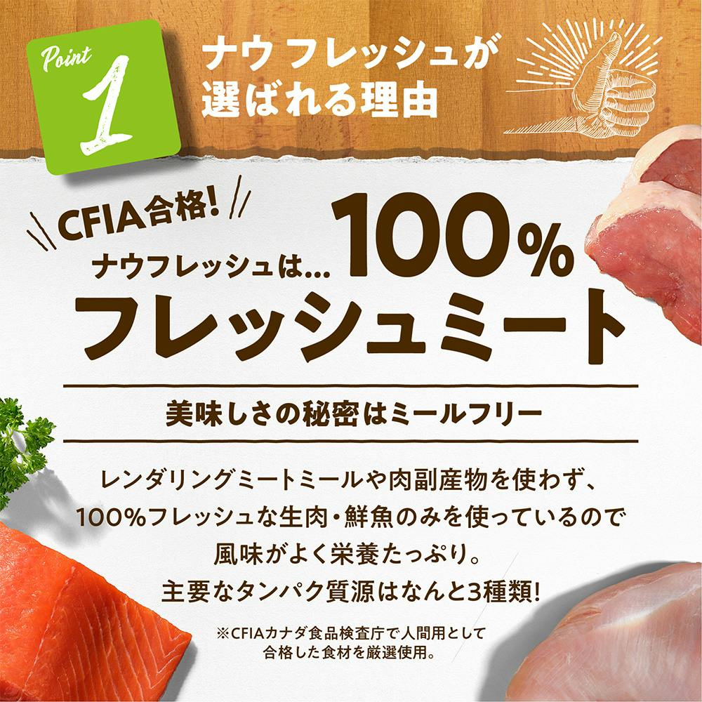 ナウフレッシュ 小粒 アダルト 0.8kg | ドッグフード 通販