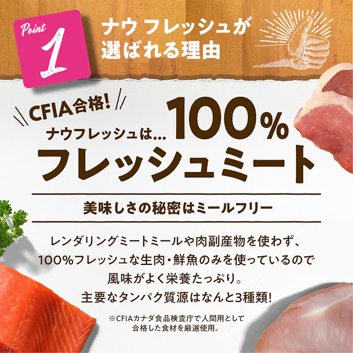 ナウフレッシュ アダルトキャット 0.35kg