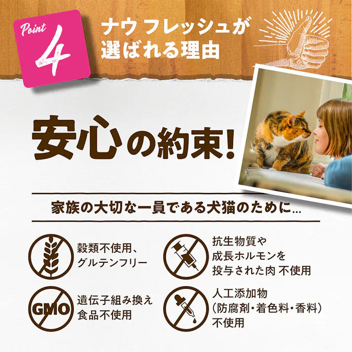 ナウフレッシュ アダルトキャット 0.35kg