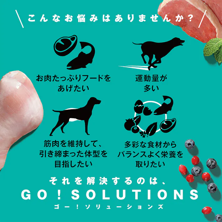 ゴー! カーニボア アダルト 0.8kg