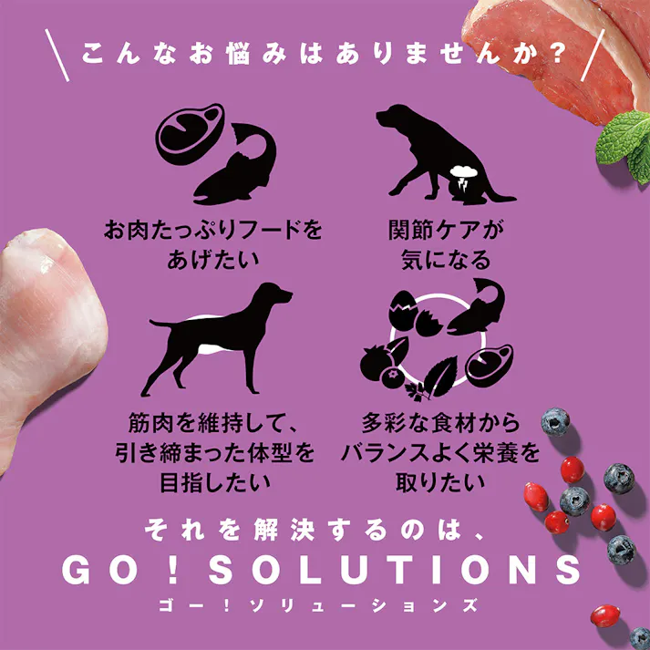 ゴー! カーニボア シニア 0.8kg