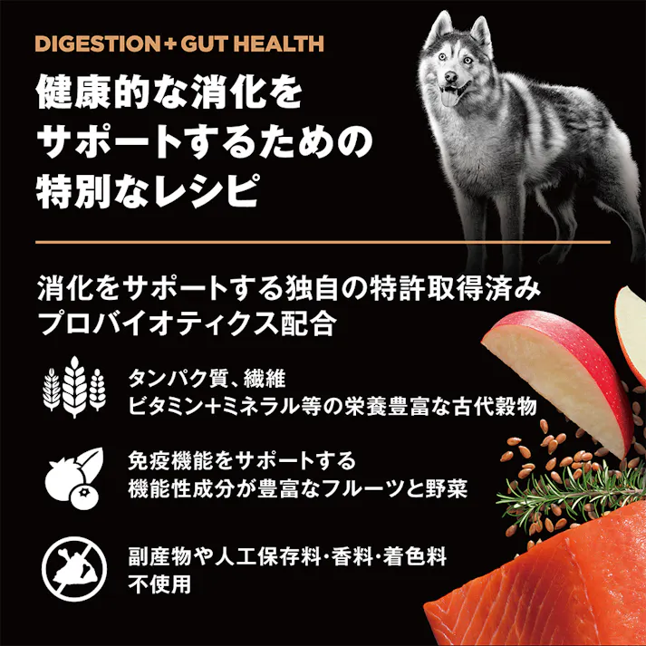 ゴー! 消化+腸の健康ケア サーモン 0.8kg