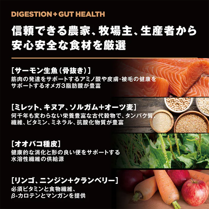 ゴー! 消化+腸の健康ケア サーモン 0.8kg