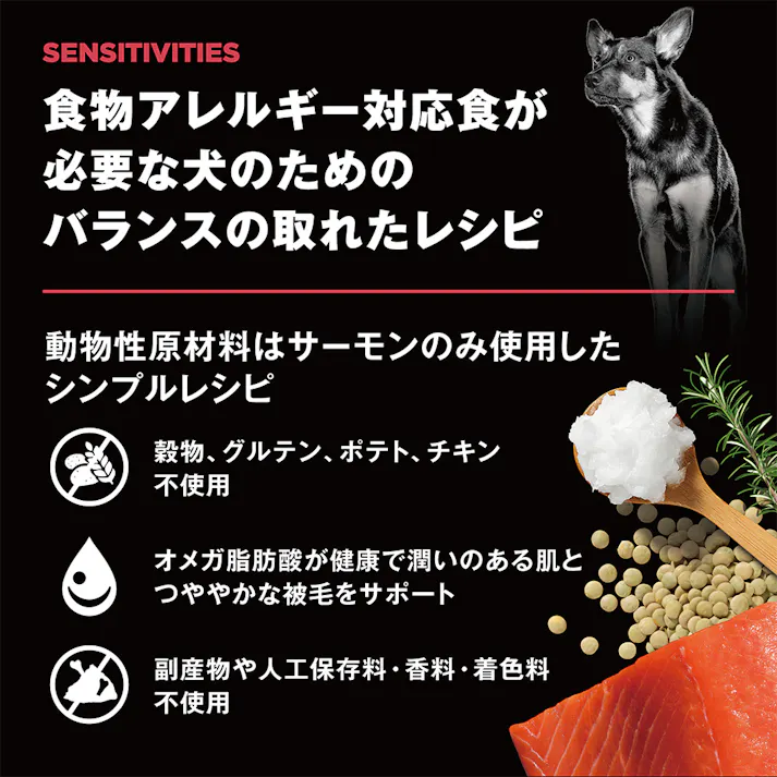 ゴー! センシティブ サーモン 2.3kg