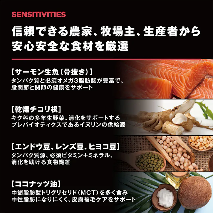 ゴー! センシティブ サーモン 2.3kg