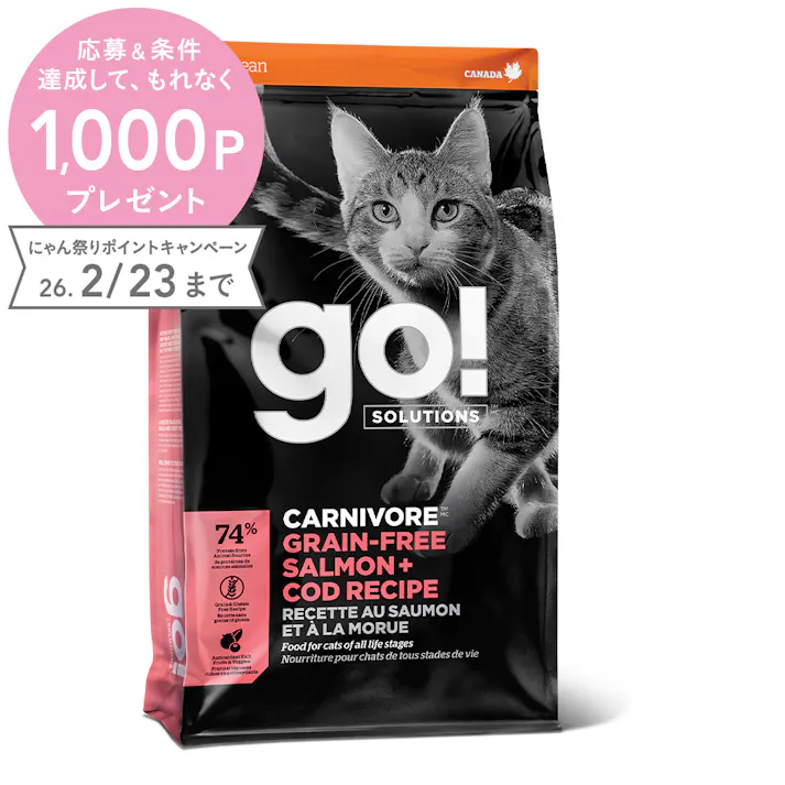 ゴー! カーニボア 猫 サーモン 0.5kg