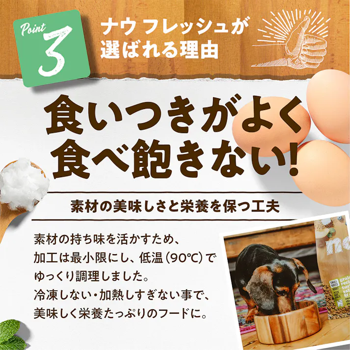 ナウフレッシュ 小粒 Fアダルト 0.35kg