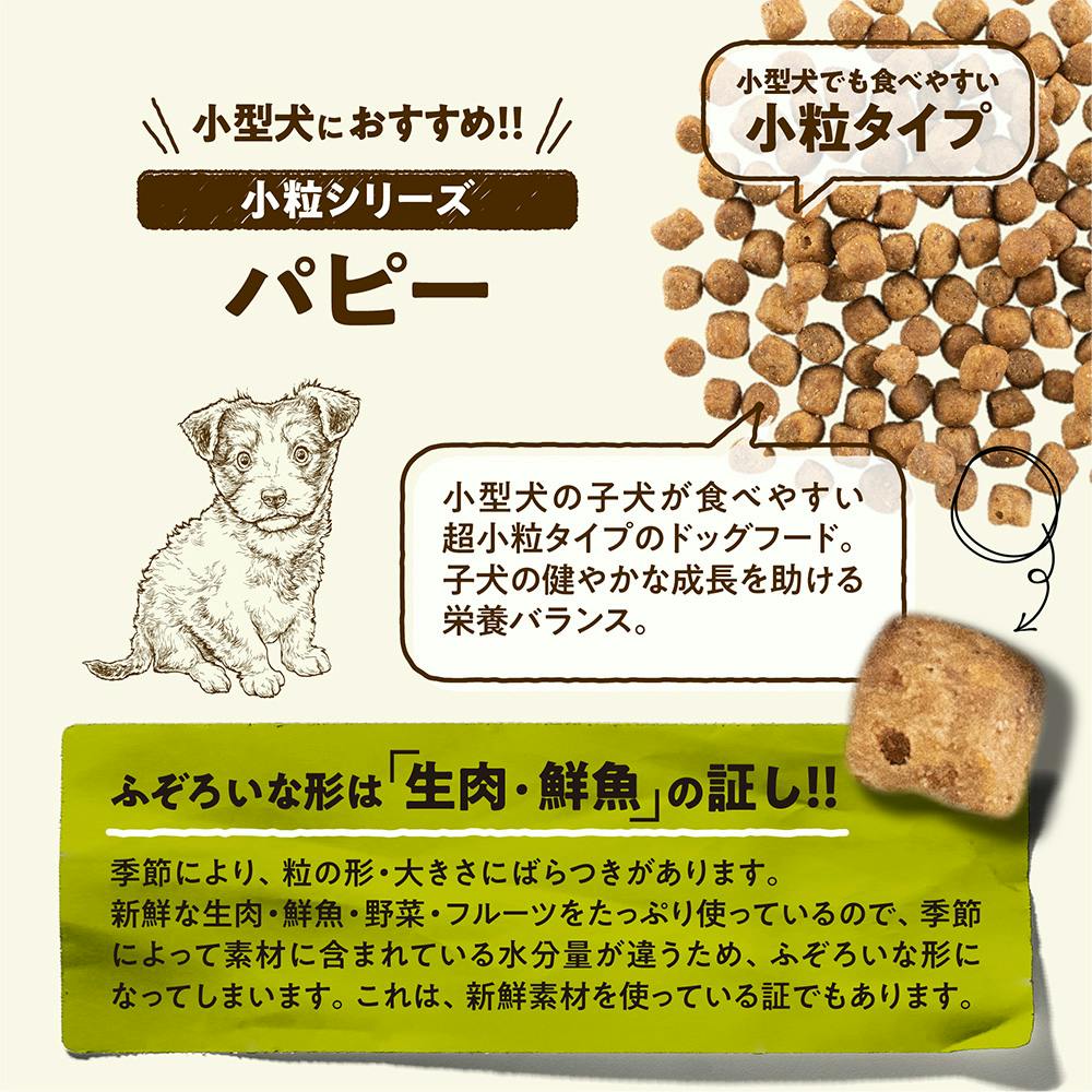 NOW FRESH グレインフリー ドッグフード小型犬用 フィッシュ9.98