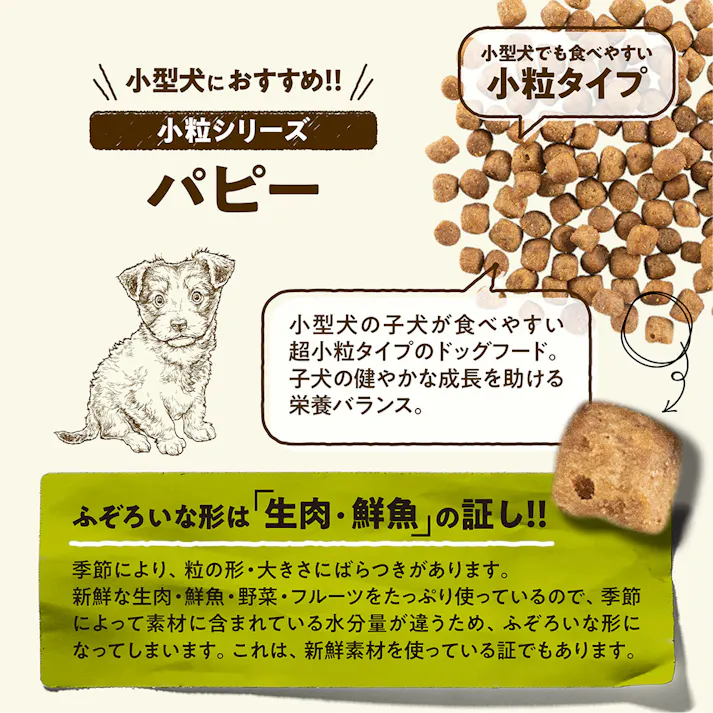 NOWFRESH グレインフリー スモールブリード パピー 2.3kg