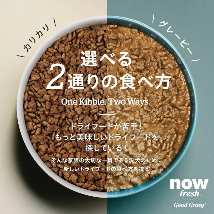 ナウフレッシュ グッドグレービー スモールブリード ゲージフリーチキン 小粒 800g